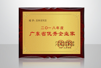 喜讯│开云集团总裁王妙玉再获年度广东省优秀企业家荣誉